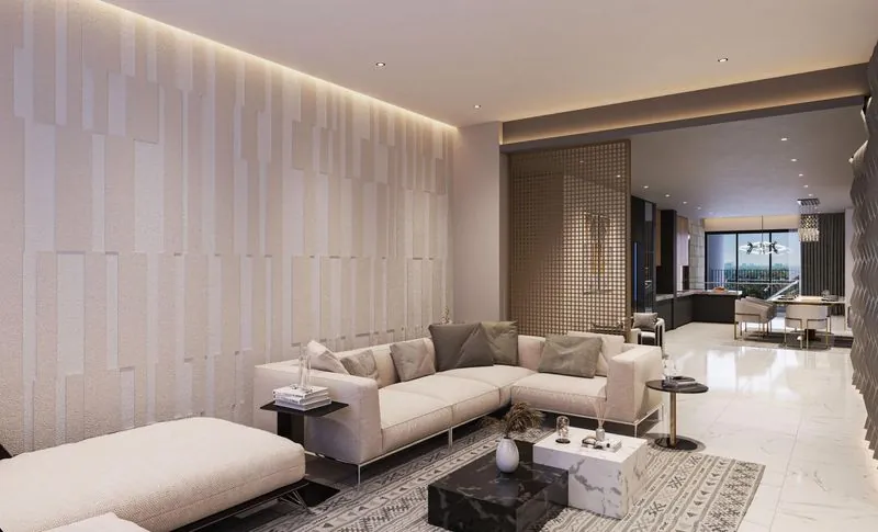 Decorative partition and TV area